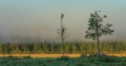 03 untitled-0279